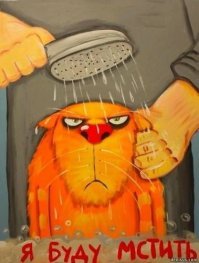 Музыкальный инструмент из кота