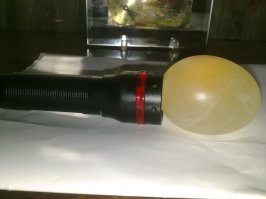 без скорлупы