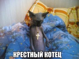 Смешные картинки с надписью