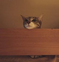 Мою - Аго.

Будем знакомы!

.