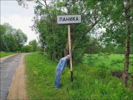 И это всё грибы!