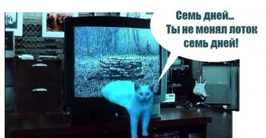 Смешные картинки с надписью