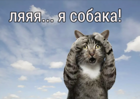 20  фактов обо всем на свете, которые потрясут вас до глубины души