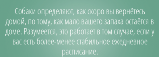 20  фактов обо всем на свете, которые потрясут вас до глубины души