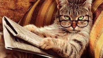 Это называется - "дергать Смерть за усы")))