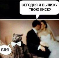15 забавных животных, которых застали врасплох неприятности