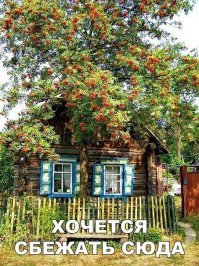 А в чём проблема? Если умеешь колоть дрова, таскать воду, чистить снег, срать в уличном сортире, постоянно что-то чинить - таких вариантов 100500 миллионов.