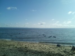 Это не санаторий - дом отдыха "Серебряный источник" (50 км от Ульяновска). Сама про него хотела пост запилить, да всё руки не доходят.
Функционировал с 50-х годов, там были кинозал, прокат, библиотека, магазин с шикарной верандой (можно было пивка попить), медпункт с фельдшером. Принадлежал потребкооперации. В 90-х, когда коопторг сдох, началась чехарда собственников. После двух волн разграбления был выкуплен ОАО "Ульяновсккурорт", владельцы которого думали, не вложив ни копейки, получать прибыль. Последних отдыхающих принял четыре года назад.
Сейчас - инфрастутуры нет, треть домиков сползли в Волгу, когда-то чудесный яблоневый сад при смерти.
Но! До сих пор где-то на просторах бродит его реклама - этим летом две машины завернула, которые искали этот "Серебряный", одни ехали по старой памяти, другие выкопали эту рекламу.
А место красивое. Добавлю пляж.