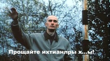 Гифки дня