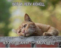 Вот и отдыху конец!