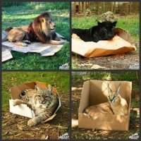 Ну а чё, работает...