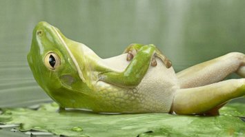 Даже не знаю, зачем мне эта информация...