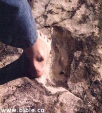 ​​Неуместный артефакт из Нампы: