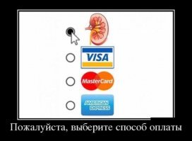 Картиночки из интернетов