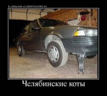 Ну так они вон какие пацаны