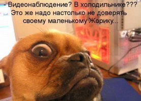 Лучшие демотиваторы, от которых смех обеспечен