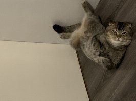 Или вот 
Чувак ваще на все забил