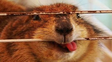 Уже нашли виновных ....