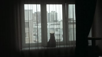 Смешные картинки с надписью