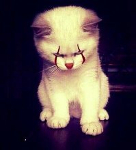 На что сходить в Кино Сентябрь 2019