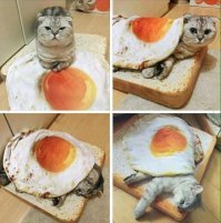 Намешал
