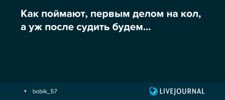 Полицейские нашли браконьеров, выловивших гигантскую калугу