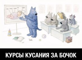 Смешные картинки с надписью