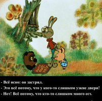Насколько узкую щель способны преодолеть домашние коты?