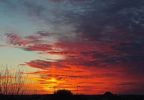 Так себе видок у вас в Торонто, может конечно с другой стороны лес видать.