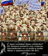 Представитель президента призвал не судить полицейских