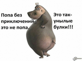 Вроде трезвые, а приключения на задницу ищут как в стельку пьяные!