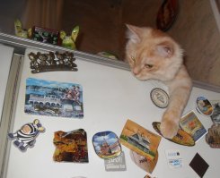 Давай открывай уже, жрать хоцца!