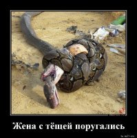 Черная мамба - самая быстрая змея
