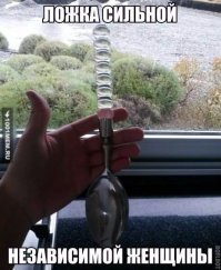 Чувак, есть дешевле варианты