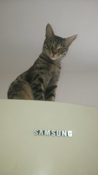 У нас холодильник под присмотром)))