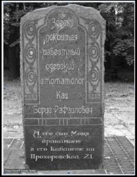 Современные кладбищенские тенденции: в ногу со временем