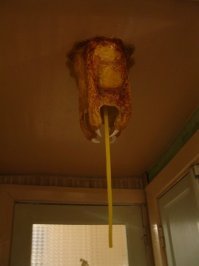 Прикольные и смешные картинки