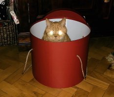 одобряю