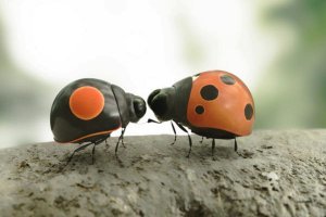 Букашки-3, симпатичный мультик про этих жучков