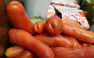 Прикольные и смешные картинки