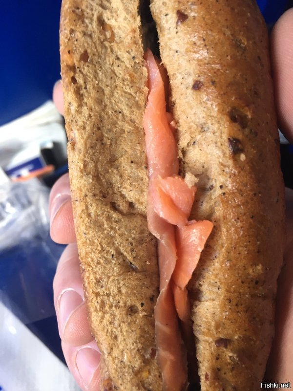 Мой сэндвич в самолёте