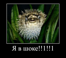 Предложения, от которых нельзя отказаться