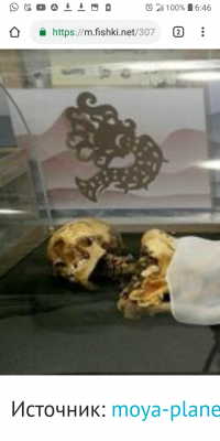 Юнец, будь внимательней! Во первых, на восстанавливаемом черепе отсутствуют фронтальные зубы 12 11 21 22 у мумии они есть но не хватает левого Премоляра 24 - это разные черепа Во вторых, на вашей мумии на лицевых костях отсутствуют какие либо мумифицированные мягкие ткани, что делает восстановление лица чистой импровизацией. В третьих, даже если предположить что это и была бы та самая мумия с мумифицированными мягкими тканями в лицевом отделе - они мало на что влияют, черты и пропорции лица определяет степень развитости той или иной группы мышц, количество подкожного жира, хрящи носового и ушного отдела, учитывая что мягкие ткани на 96% состоят из воды- восстанавливать "историческое лицо" на голом черепе да еще на аж 75% точности от оригинала - игра на публику. Максимум на что можно рассчитывать это на те 4% иссущеных мягких тканей которых собственно на черепе нет, как и отсутствующих хрящей ушных раковин и носа а так же нижней челюсти которая формирует без малого 25-30% вашего лица Но судя по тому как вы глазы выпучили и рот раскрыли от удивления , дело пошло 
Кстати раз уж вы в отличии от меня видели мумию в полный рост не подскажете где же у неё мумифицированные ткани лица?