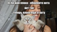 Прикольные и смешные картинки