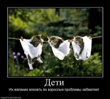 Образ Котэ в демотиваторах