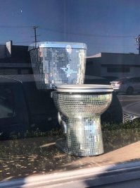 Порция адской жизни обычного унитаза