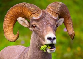 Как в СССР отучили пиратов грабить советские суда	