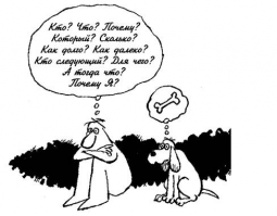 Запоминают слова и не любят курильщиков: 14 редких фактов о собаках