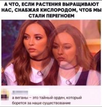 5 живодерских деликатесов