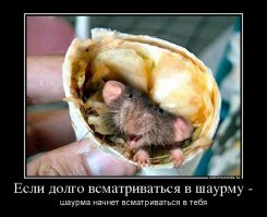 Британский подросток потерял слух и зрение после 10 лет питания фастфудом